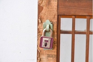 アンティーク建具　明治～大正期　和の趣が漂う格子入りガラス帯戸1枚　(R-085045)