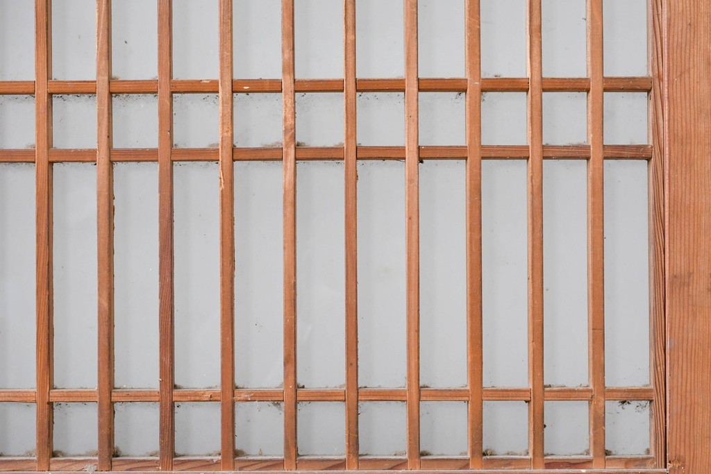 アンティーク建具　明治～大正期　和の趣が漂う格子入りガラス帯戸1枚　(R-085045)