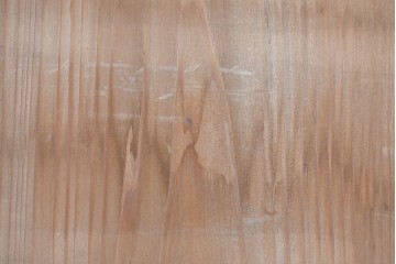 アンティーク建具　明治～大正期　和の趣が漂う格子入りガラス帯戸1枚　(R-085045)