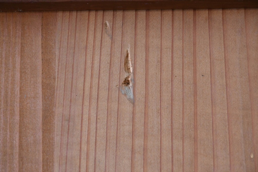 アンティーク建具　昭和初期～中期　縦格子が美しく映えるガラス帯戸2枚セット　(R-085054)