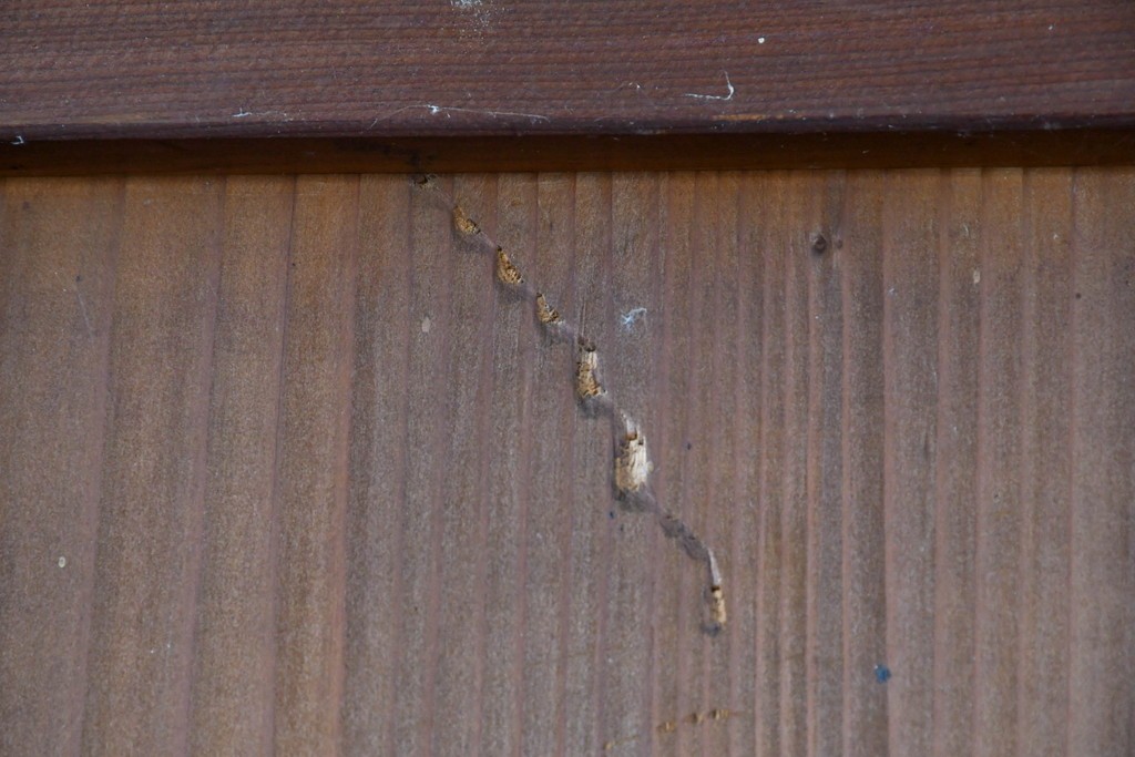 アンティーク建具　昭和初期～中期　縦格子が美しく映えるガラス帯戸2枚セット　(R-085054)