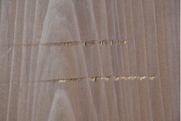 アンティーク建具　昭和初期～中期　縦格子が美しく映えるガラス帯戸2枚セット　(R-085054)