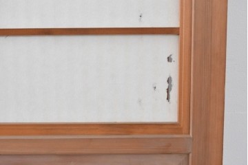 ヴィンテージ建具　昭和中期　ガラス帯に茗荷紋の入った裏障子付き格子戸4枚セット　(R-085066)