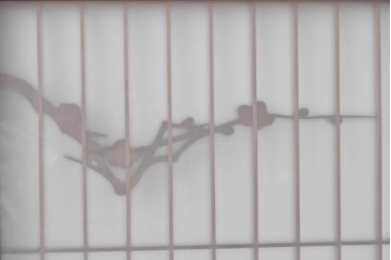 ヴィンテージ建具　昭和後期　梅・竹・亀図　片面ガラス　彫刻意匠がしとやかに際立つ書院戸4枚セット　(R-085071)