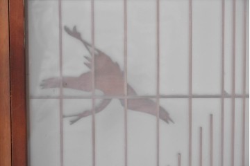 ヴィンテージ建具　昭和後期　片面ガラス　富士を背景に舞う二羽の鶴が彫刻された書院戸2枚セット　(R-085072)