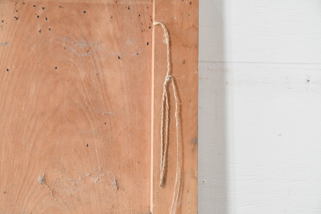 アンティーク建具　明治～大正　経年を感じる素朴な風合いの蔵戸1枚　(R-085161)