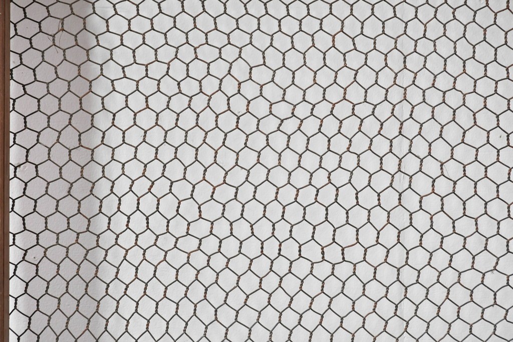 アンティーク建具　明治～大正　時代を経た素朴な風合いが味わい深い升目蔵戸1枚　(R-085162)