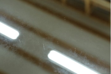 中古　美品　伝統工芸　軽井沢彫り　豪華な桜の立体彫刻が美しい特大鏡　(R-085266)