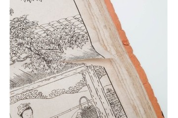 明治　東陽堂発行　「佩文斎耕織図」　木版　全46図揃　(R-085317)