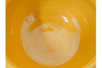 平安大示(手塚大示)　京焼　黄交趾荒磯の意匠が印象的な水指　共箱付き　(R-085320)