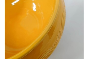 平安大示(手塚大示)　京焼　黄交趾荒磯の意匠が印象的な水指　共箱付き　(R-085320)