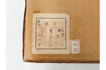 平安大示(手塚大示)　京焼　黄交趾荒磯の意匠が印象的な水指　共箱付き　(R-085320)