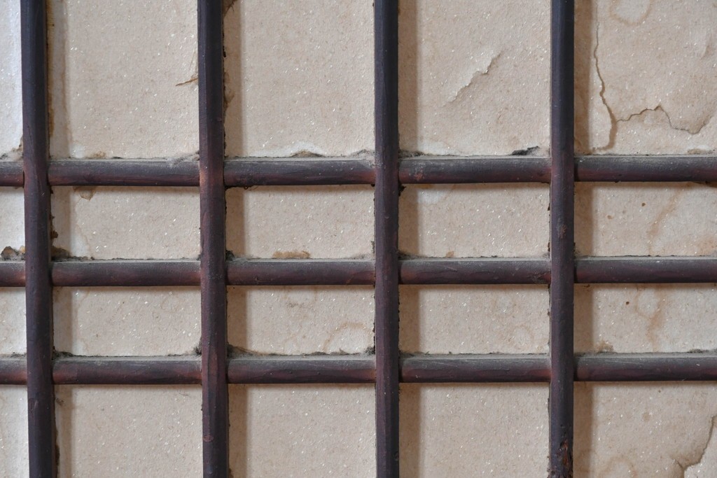 アンティーク建具　古民家スタイルや和モダンインテリアに映える障子帯戸1枚　(R-085416)