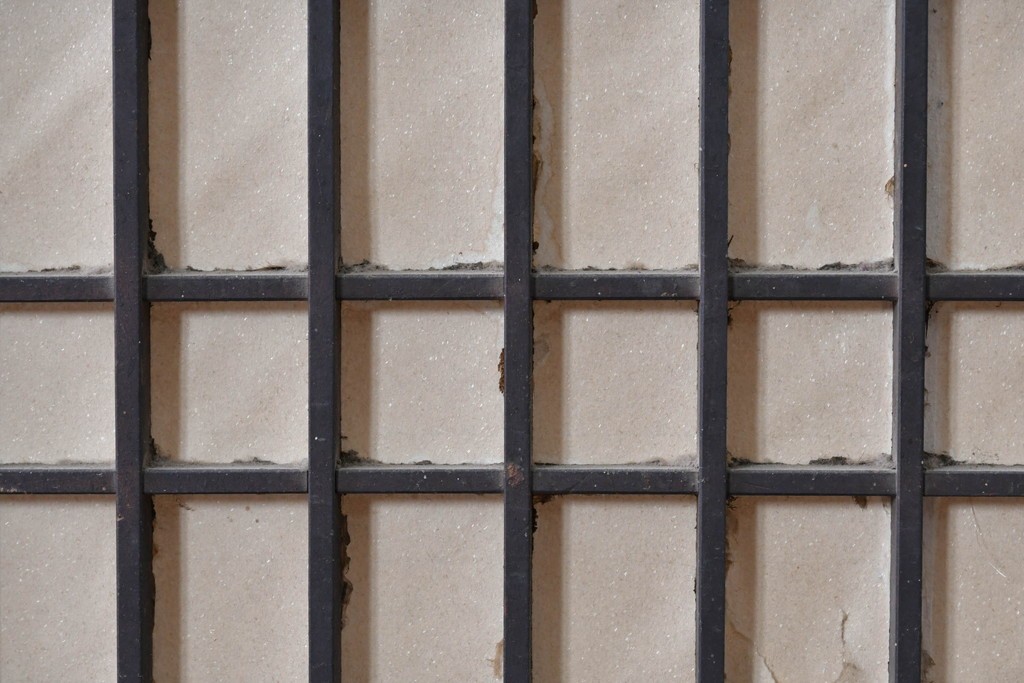 アンティーク建具　縦桟格子がすっきりとした印象の障子帯戸1枚　(R-085417)