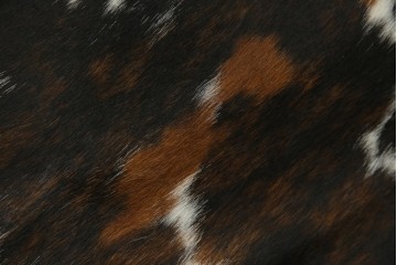 中古　美品!!　イタリア製　Cassina(カッシーナ)　Le Corbusier(ル・コルビュジエ)　滑らかな曲線フレームが美しいシェーズロング　定価約106万7千円相当　(R-085423)