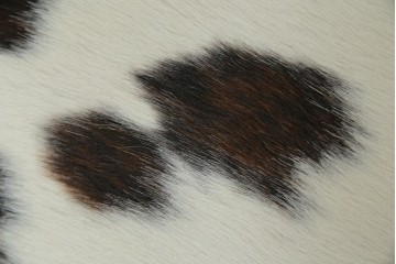 中古　美品!!　イタリア製　Cassina(カッシーナ)　Le Corbusier(ル・コルビュジエ)　滑らかな曲線フレームが美しいシェーズロング　定価約106万7千円相当　(R-085423)