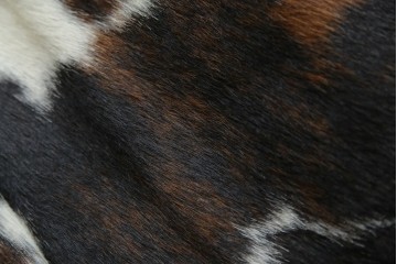 中古　美品!!　イタリア製　Cassina(カッシーナ)　Le Corbusier(ル・コルビュジエ)　滑らかな曲線フレームが美しいシェーズロング　定価約106万7千円相当　(R-085423)