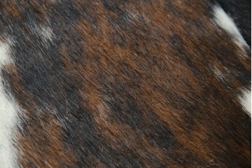 中古　美品!!　イタリア製　Cassina(カッシーナ)　Le Corbusier(ル・コルビュジエ)　滑らかな曲線フレームが美しいシェーズロング　定価約106万7千円相当　(R-085423)