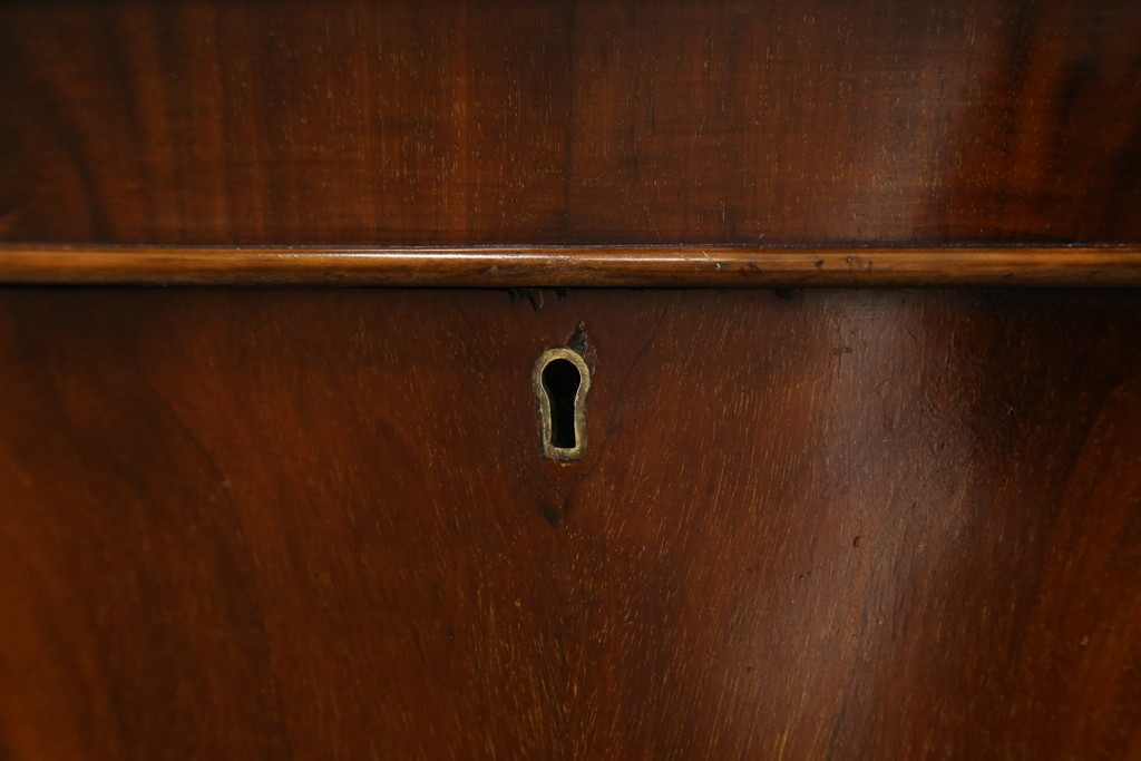 イギリスアンティーク　高級品!!　Lloyd’s Antiques(ロイズアンティークス)　マホガニー材　クラシカルなサイドバイサイドビューローブックケース　(R-085432)