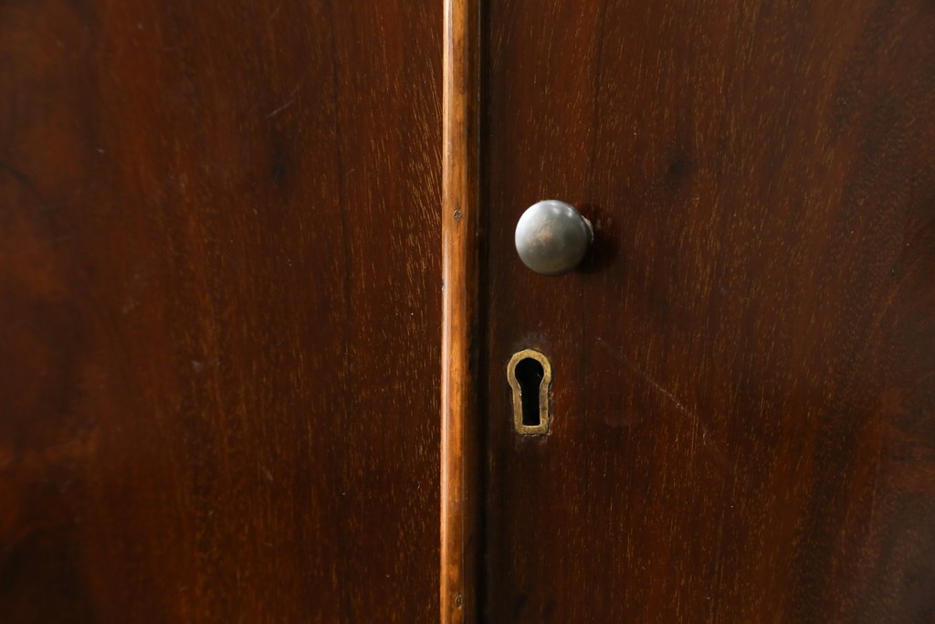 イギリスアンティーク　高級品!!　Lloyd’s Antiques(ロイズアンティークス)　マホガニー材　クラシカルなサイドバイサイドビューローブックケース　(R-085432)