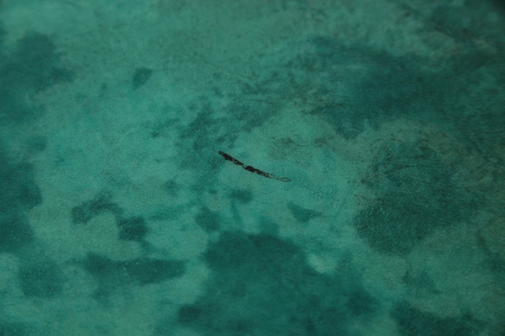 中古　美品!!　希少!!　イタリア高級家具　アルド・トゥーラ(ALDO TURA)　仔山羊革張り　独特の質感が際立つキャビネット　(R-085451)