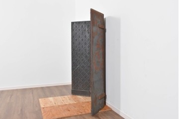 フランスアンティーク　鋳鉄製　紋章(フルール・ド・リス)をあしらった重厚なファイヤーバック　(R-085467)