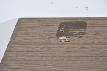 中古　美品　老舗　桐屋田中　上品な金具が空間を引き締める総桐箪笥　(R-085470)