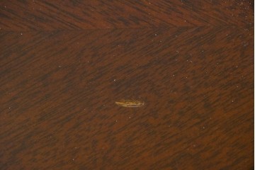 中古　maruni(マルニ木工)　KENT-COURT(ケントコート)　深い色合いとクラシカルな佇まいが美しいオーバル型センターテーブル　(R-085475)