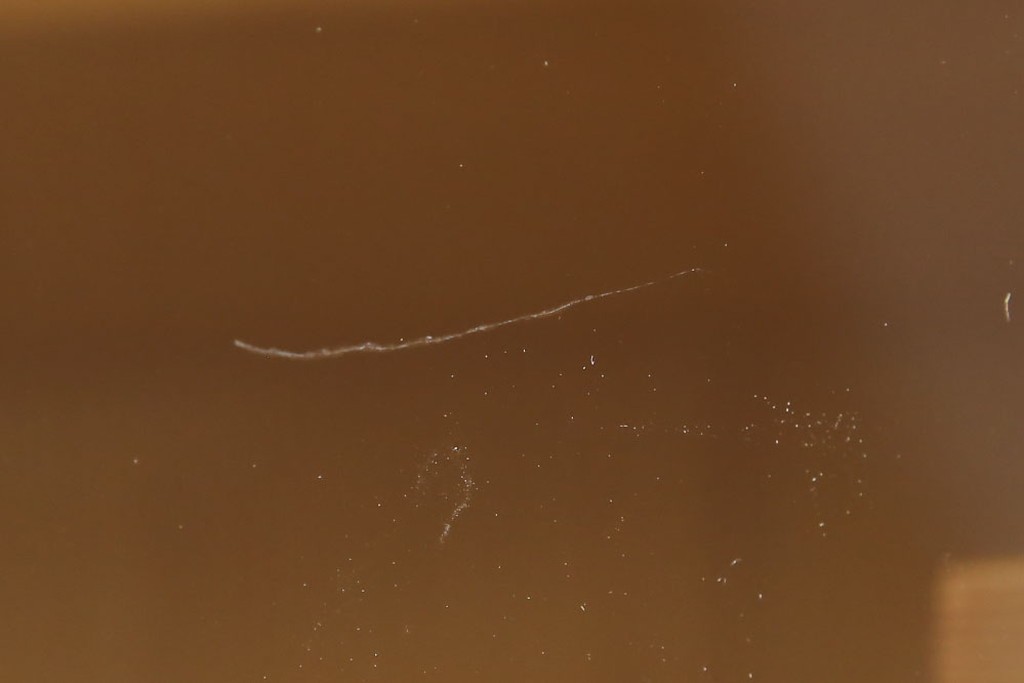 中古　豊かな表情を楽しめる屋久杉のガラス戸付き茶箪笥　定価約25万円　(R-085477)