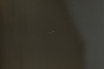 和製ヴィンテージ　オールドカリモク　角の取れたミッドセンチュリーデザインが目を引くモダンサイドボード　(R-085487)