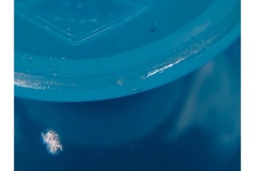 アンティーク　大正〜昭和初期の当時物　ウランガラス・プレスガラス　柔らかな色合いが魅力の氷コップ2点セット　(R-085515)