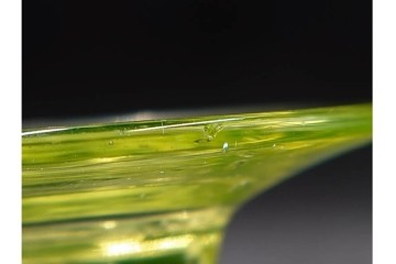 大正〜昭和初期　当時物　棗型　ウランガラス　乳白ぼかしに七宝繋ぎ文様が美しい赤縁の氷コップ　(R-085518)