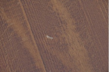 中古　柏木工(KASHIWA)　緩やかな曲線が美しいダイニングチェア4脚セット　(R-085531)