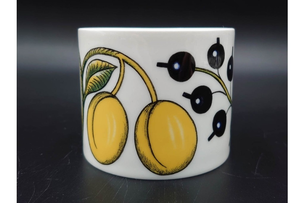 フィンランド　ARABIA(アラビア)　paratiisi(パラティッシ)　フルーツモチーフが華やかなカップ&ソーサー2客・ボウル2点・プレートのセット　(R-085563)