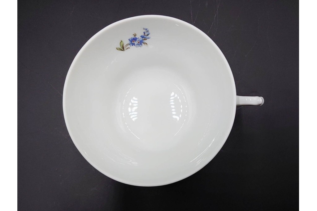 イタリア　Richard Ginori(リチャードジノリ)　サックスフラワー　カップ&ソーサー・プレートのトリオ5客セット　(R-085566)