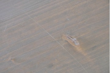 和製ヴィンテージ　落ち着いた木味とたっぷりの収納力が魅力の脚付きマス目棚　(R-085572)