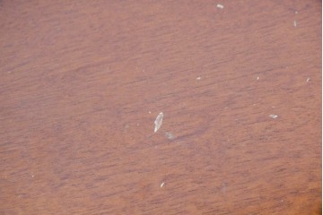 中古　希少!!　イタリア家具　Italia Bútor　ガラス扉の造形が美しいテレビボード　(R-085664)