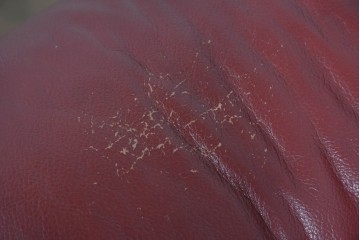 中古　オランダ輸入家具　オーク材の重厚なフレームと本革シートの質感が魅力の2人掛けソファ　定価約30万円相当　(R-085682)