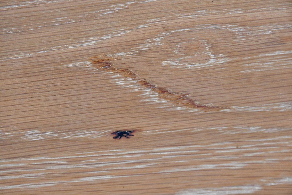 アジアンヴィンテージ　李朝デザイン　真鍮金具　重厚で上質な作りのローテーブルにもおすすめなブランケットボックス　(R-085692)