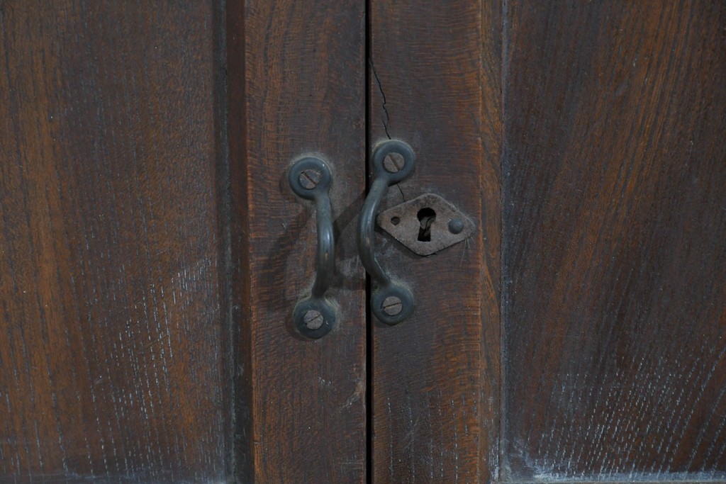 和製アンティーク　変わりデザイン!!　前面欅(ケヤキ)材の小振りな収納棚　(R-085698)