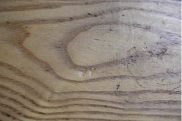 和製ヴィンテージ　良品!!　国産職人手作り品　タモ無垢材　柔らかな曲線脚の大振りなラウンドテーブル　(R-085781)