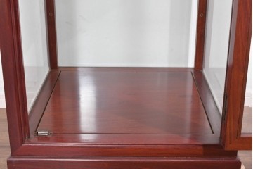 アジアンヴィンテージ　花梨(カリン)材　お部屋に取り入れやすいシンプルなコレクションケース　(R-085790)