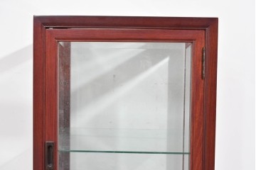 アジアンヴィンテージ　花梨(カリン)材　お部屋に取り入れやすいシンプルなコレクションケース　(R-085790)