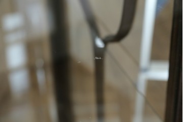 イギリスアンティーク　希少な小振りサイズ　Lloyd’s Antiques(ロイズアンティークス)　曲線装飾が優雅なキャビネット　(R-085804)