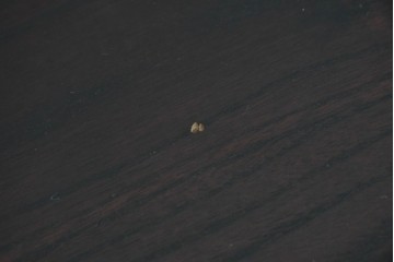 中古　ニレ材　整然とした縦格子が美しい水屋箪笥サイドボード　(R-085860)