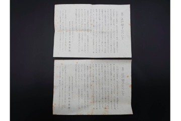 由水常雄　復刻作　霰文が美しい江戸切子の向付2客セット　共箱付き　(R-085894)