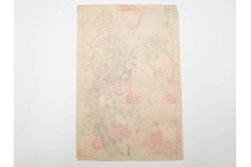 真作　暁山　「草木華鳥図会」　孔雀に雀・蝶など多彩な鳥虫草木花を描いた木版画6枚セット　(R-085908)