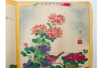 真作　暁山　「草木華鳥図会」　孔雀に雀・蝶など多彩な鳥虫草木花を描いた木版画6枚セット　(R-085908)