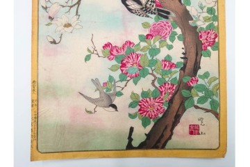 真作　暁山　「草木華鳥図会」　孔雀に雀・蝶など多彩な鳥虫草木花を描いた木版画6枚セット　(R-085908)