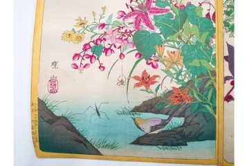 真作　暁山　「草木華鳥図会」　孔雀に雀・蝶など多彩な鳥虫草木花を描いた木版画6枚セット　(R-085908)